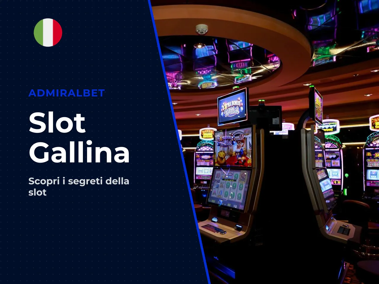 Cosa si cerca di solito con